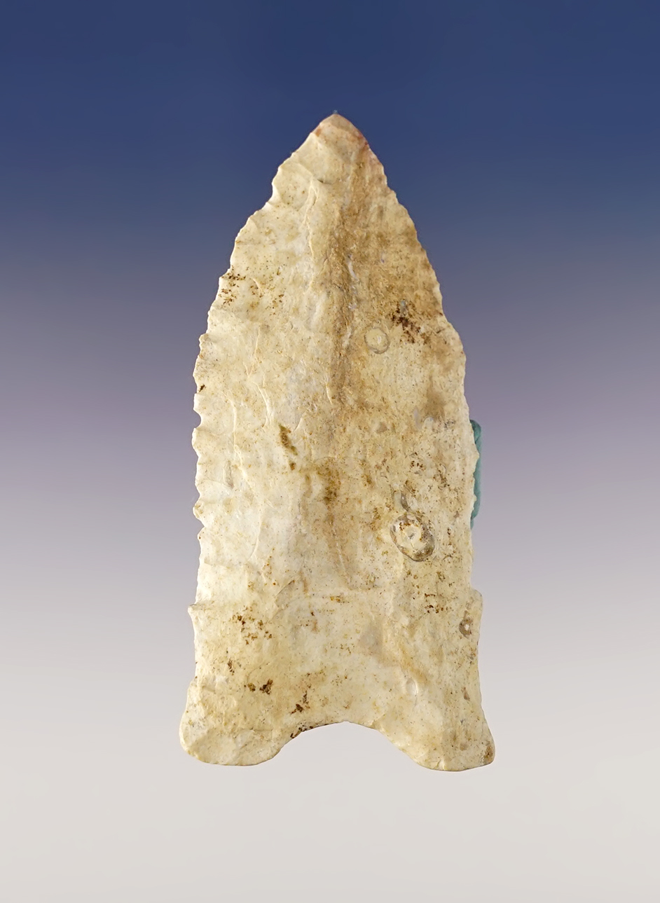 Main artifact image