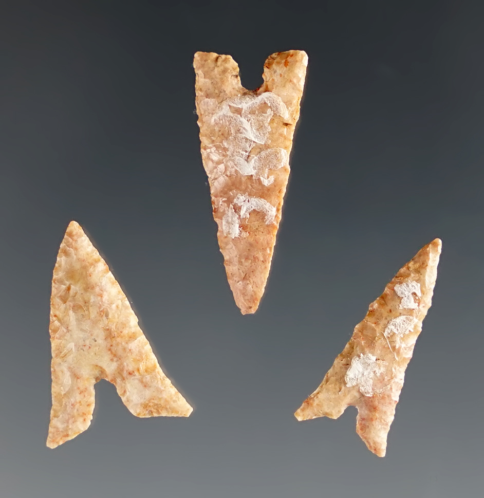 Main artifact image