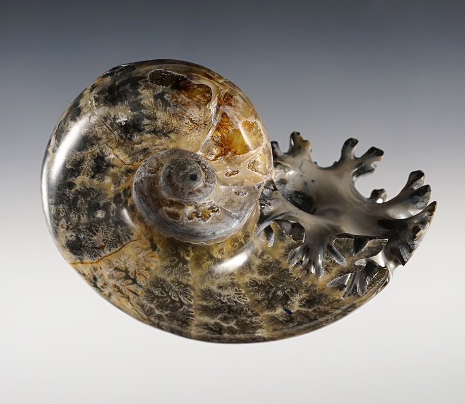 Main artifact image