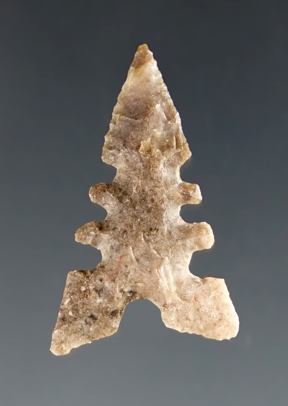 Main artifact image