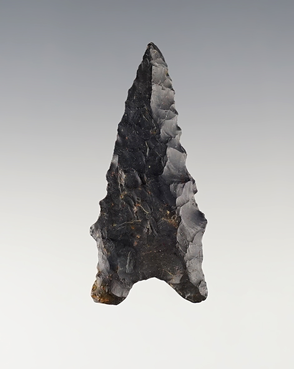 Main artifact image