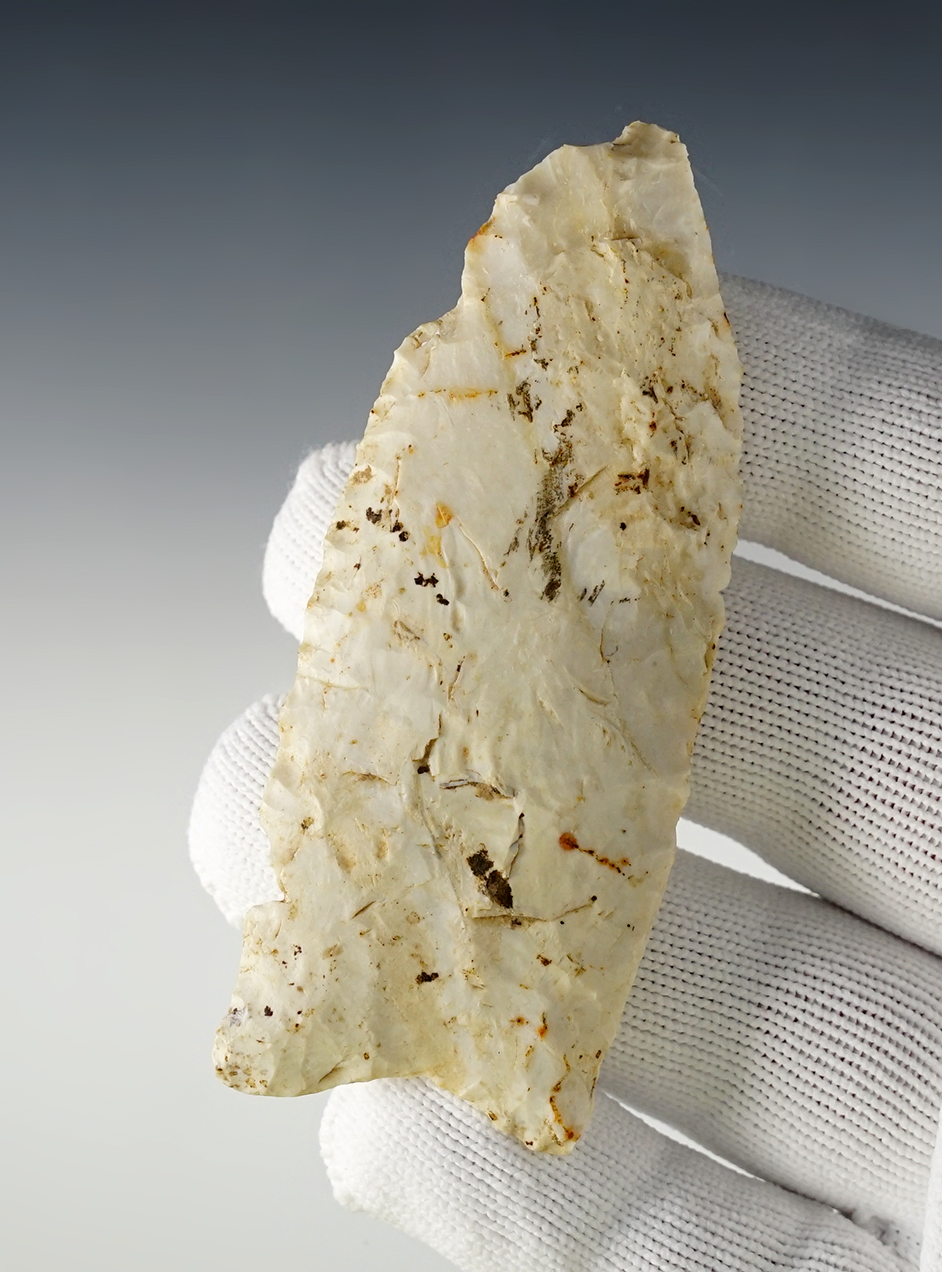 Main artifact image