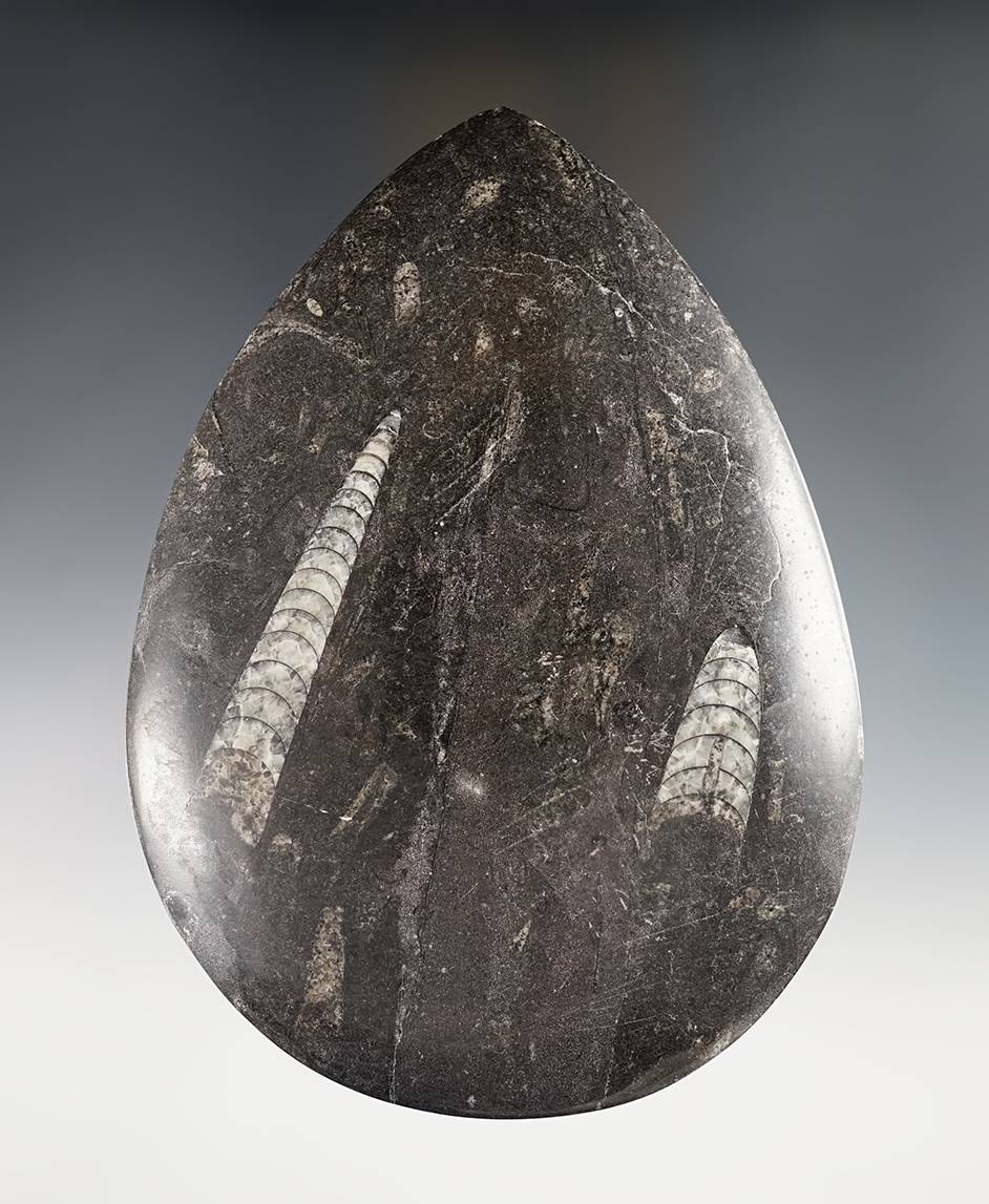 Main artifact image