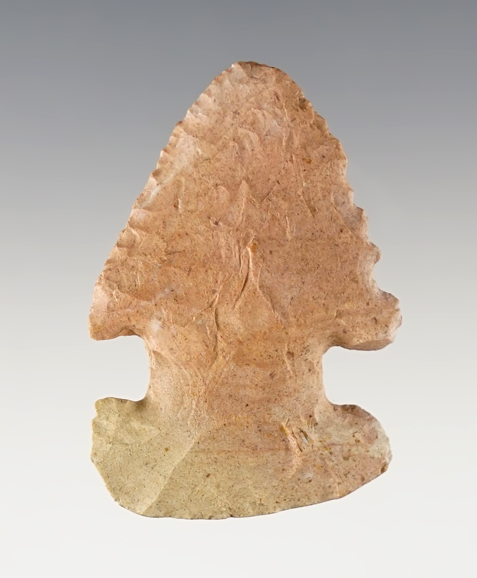 1 13/16" Ohio Thebes E-Notch made from patinated pink and cream chert.