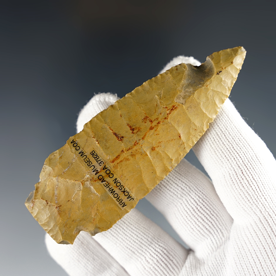 Main artifact image