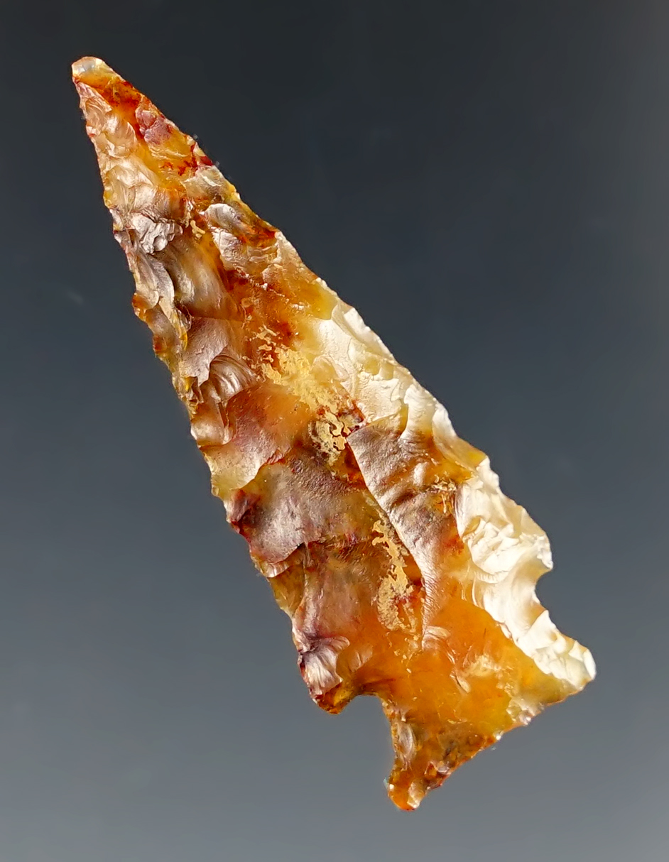 Main artifact image
