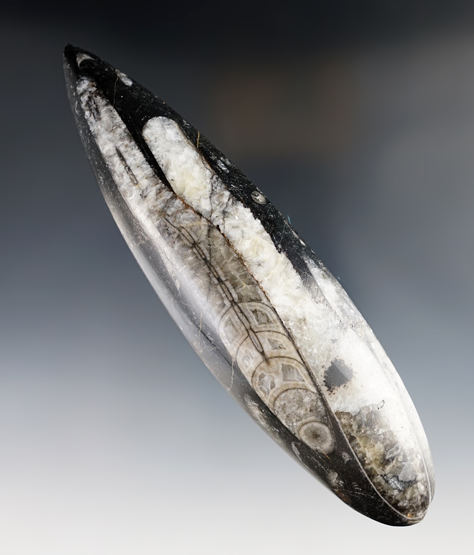 Main artifact image