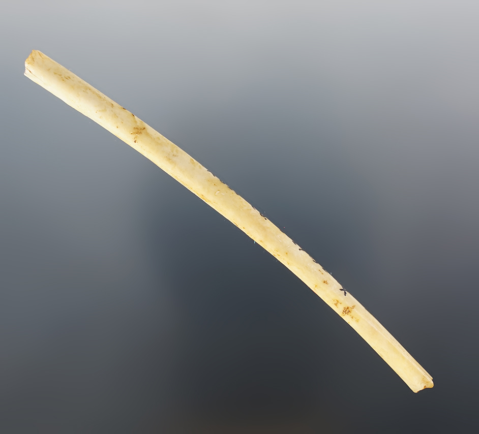 Main artifact image