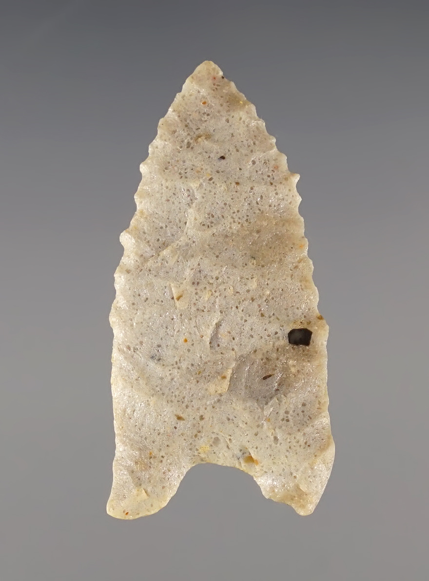 Main artifact image