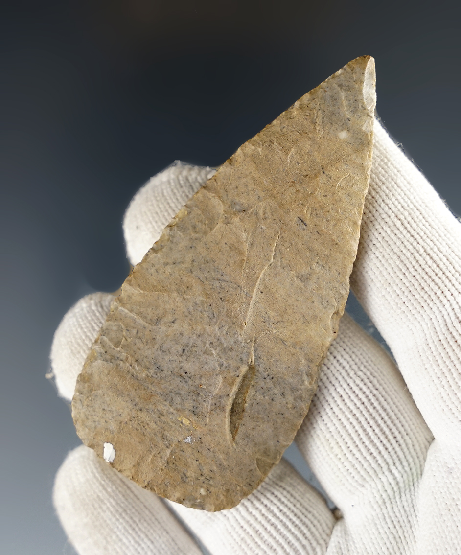 Main artifact image