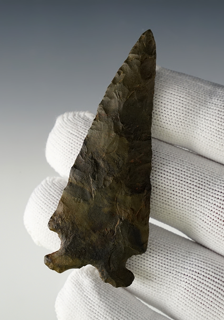 Main artifact image