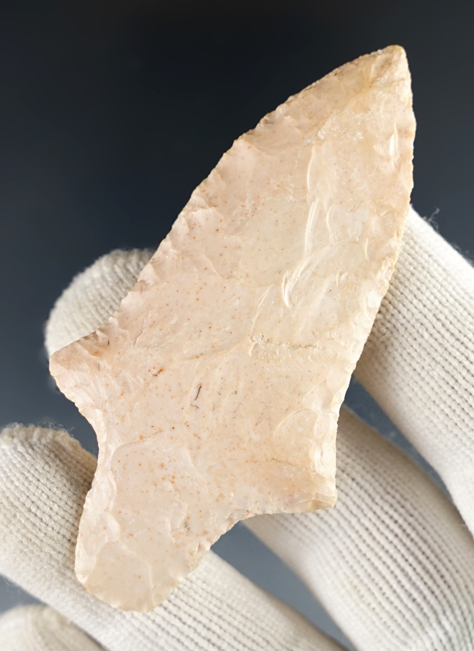 Main artifact image