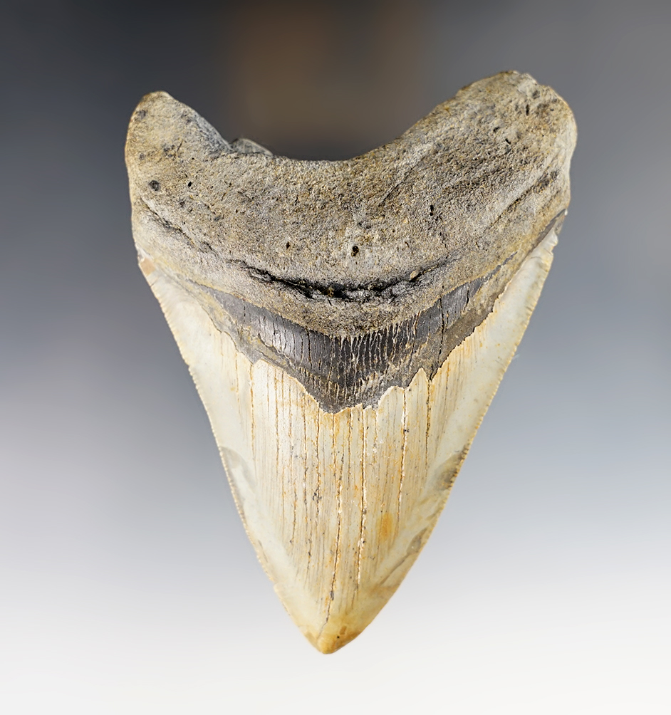 Main artifact image