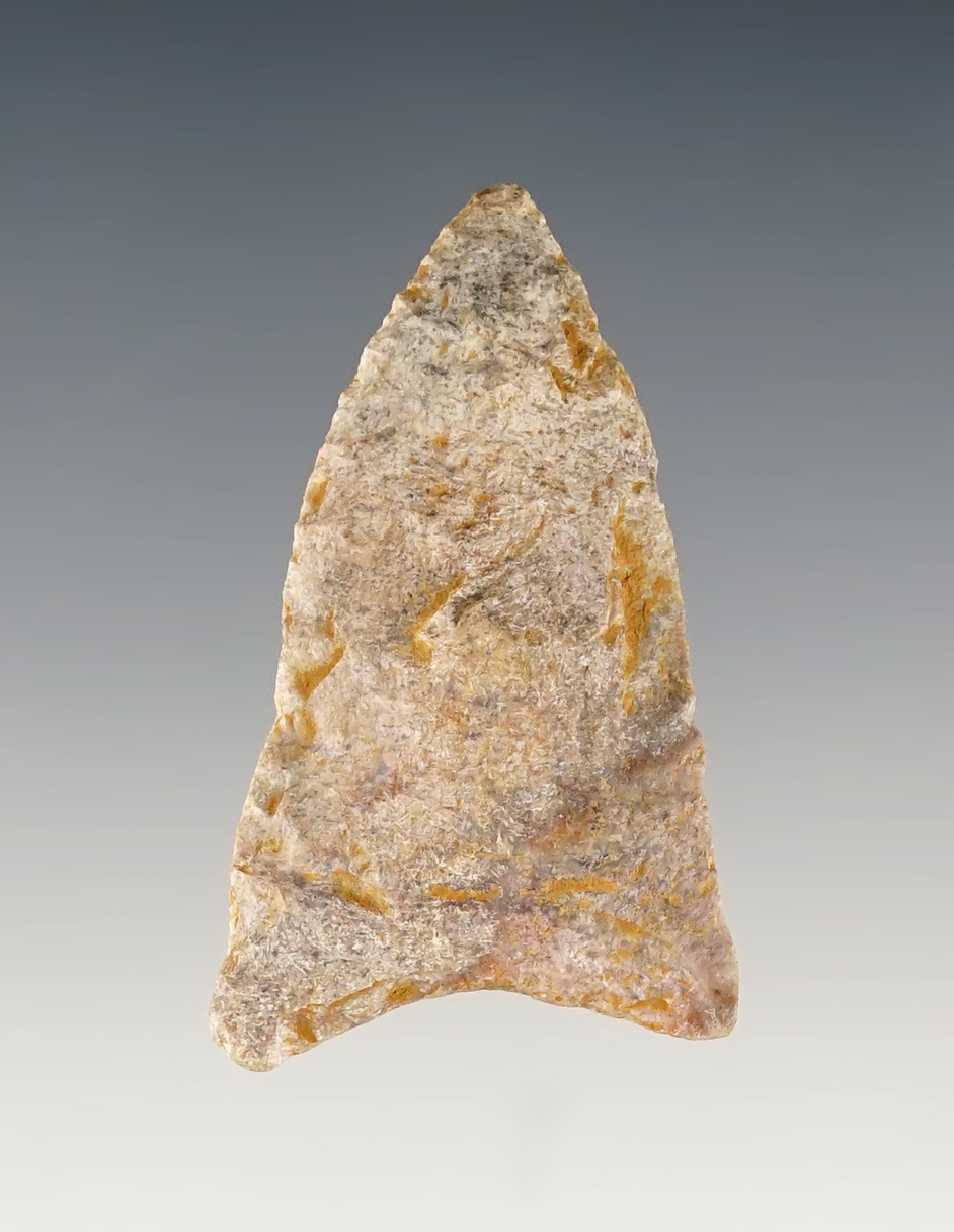 Main artifact image