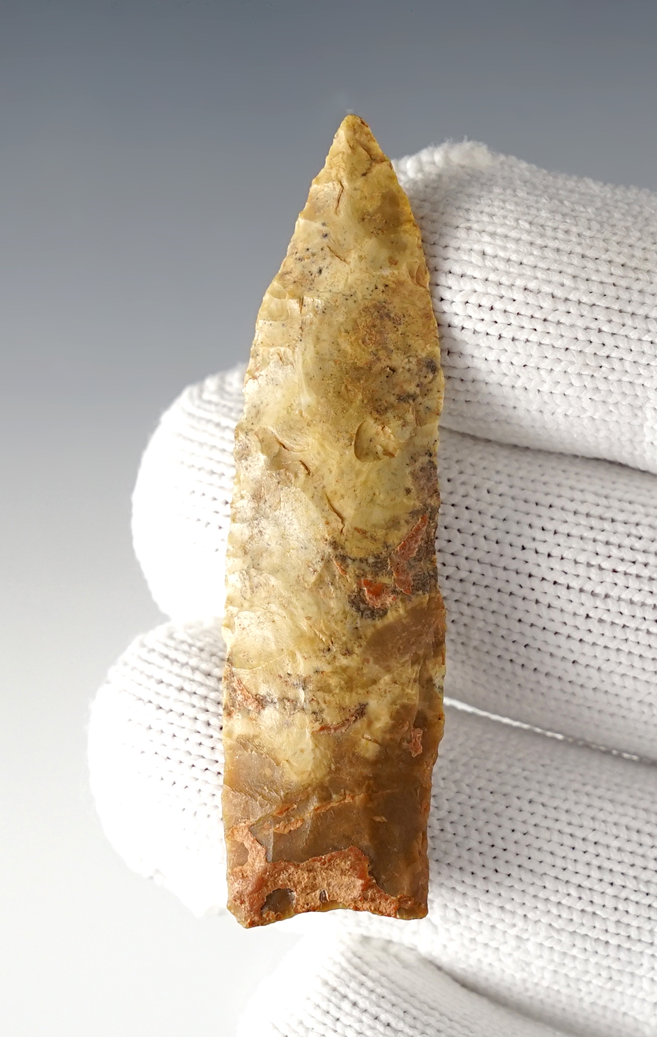 Main artifact image