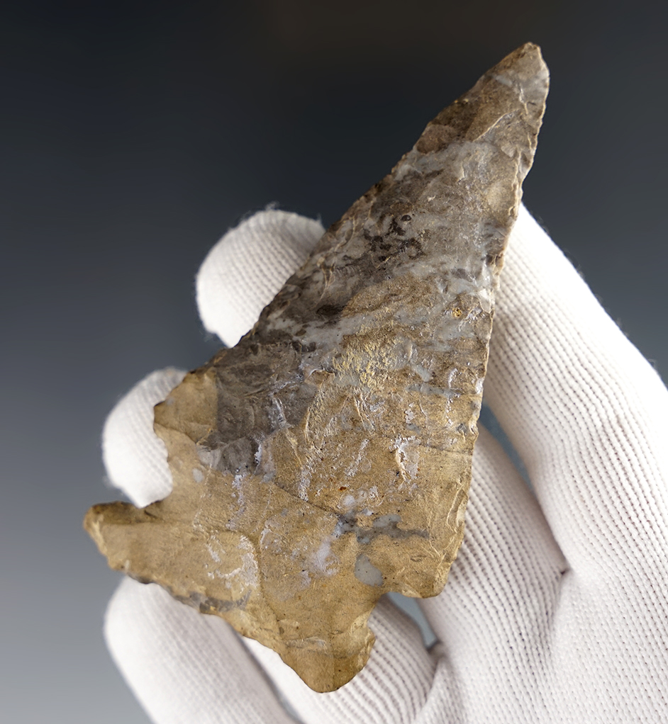 Main artifact image