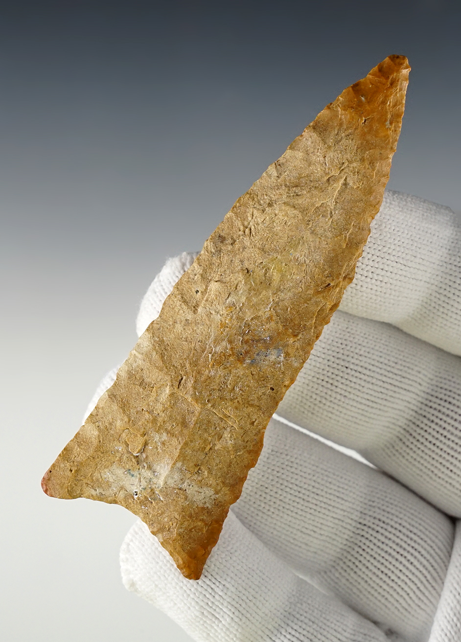 Main artifact image