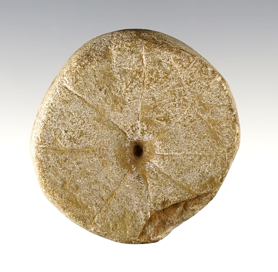 Main artifact image