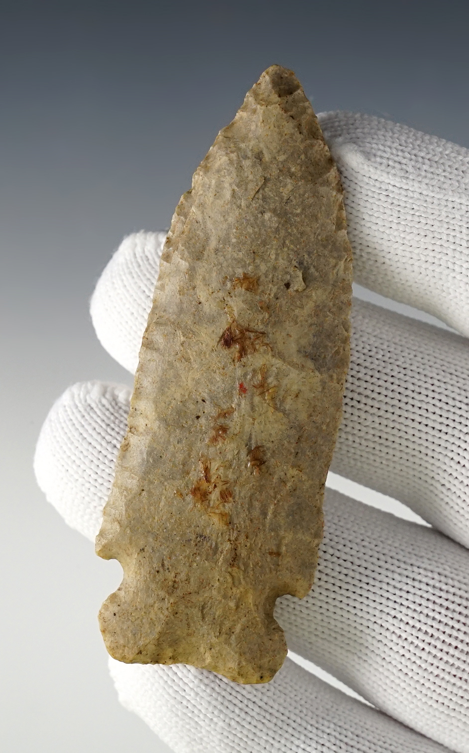 Main artifact image