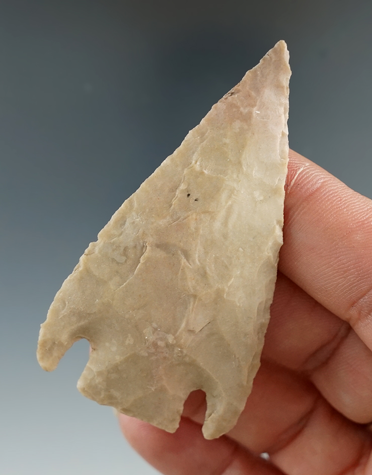 2 1/2" Castroville found in Williamson Co., Texas. Comes with a Rogers COA.