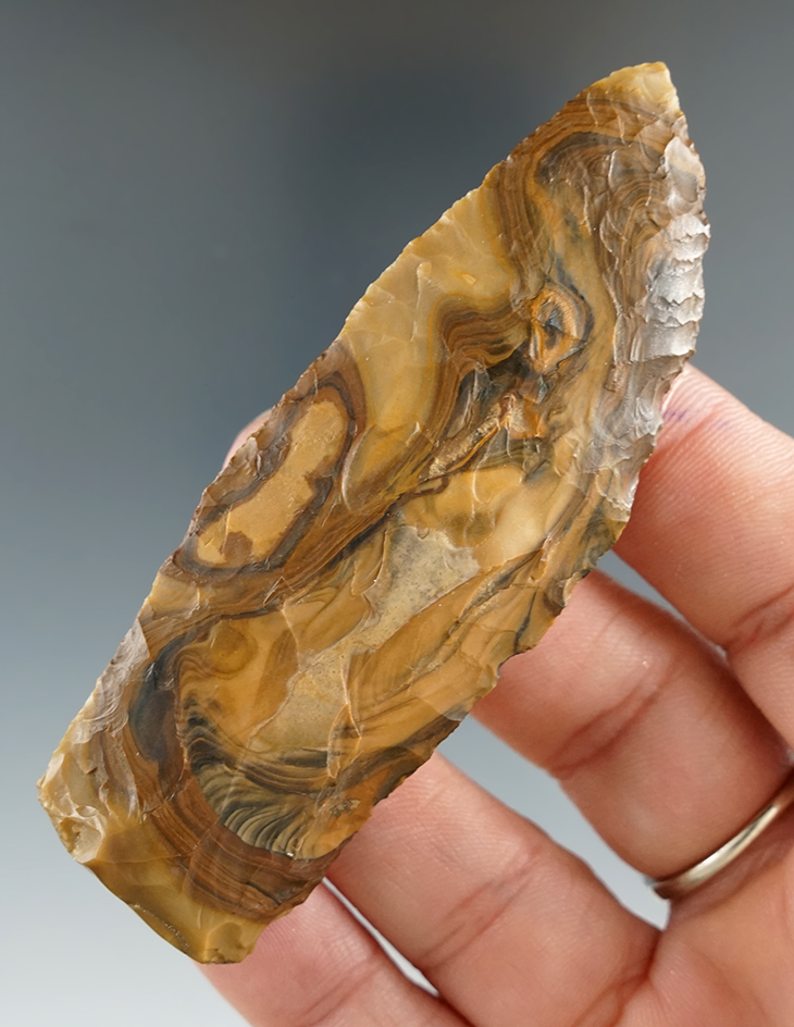 3 1/4" Stemmed Lance made from Petrified Wood, found in Oregon. Comes with a Jackson COA.