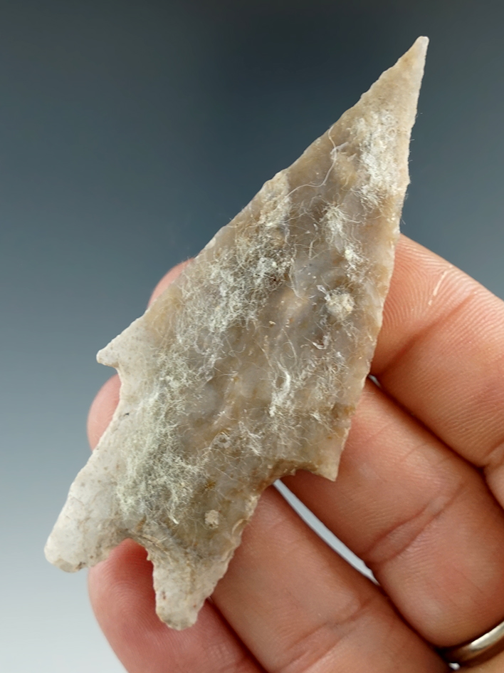 3" Pedernales point with excellent flaking and a needle tip found in Texas.