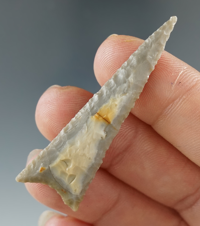 Main artifact image