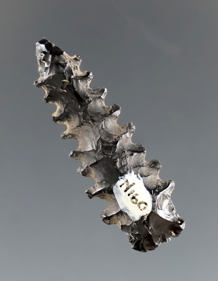 Main artifact image
