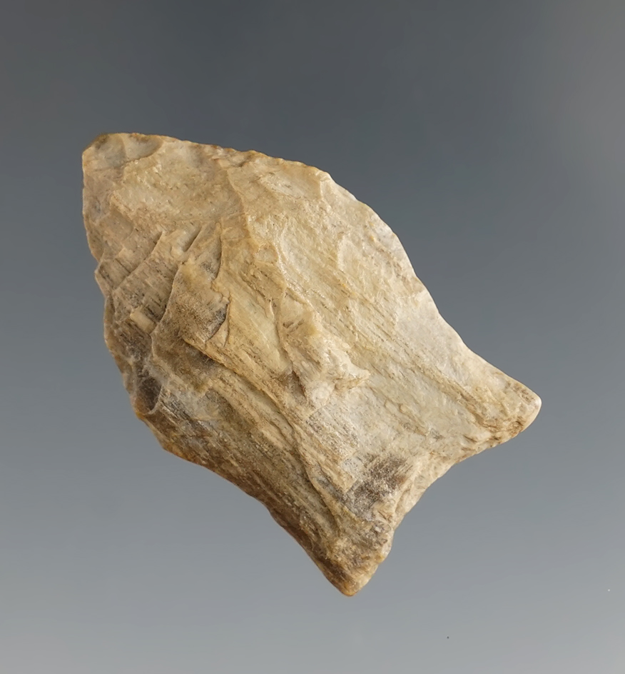 1 7/16" Paleo dart point made from petrified wood with heavily ground lower edges - Texas.