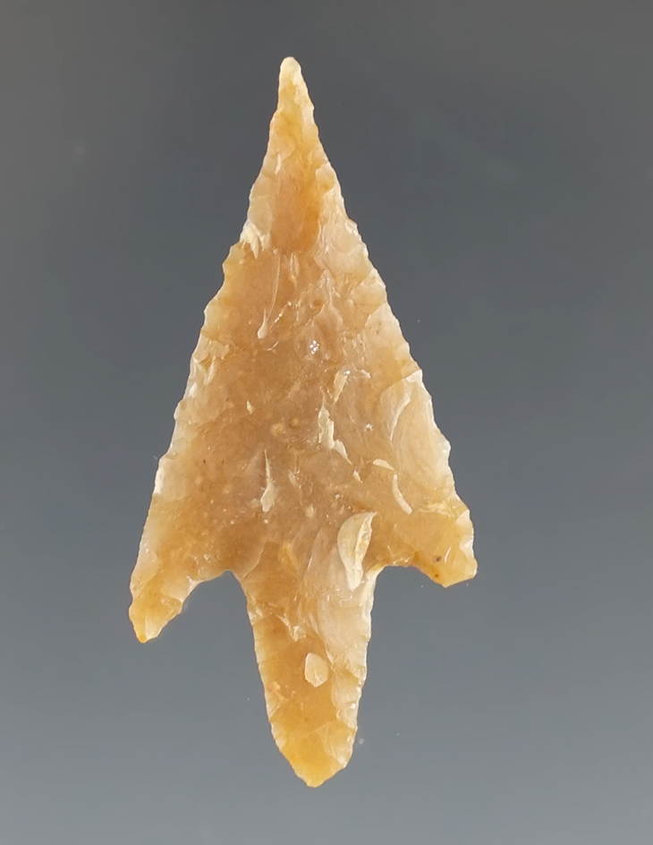 1 7/16" Perdiz found by Bill Hendrickson in Southeastern, Texas. Comes with a COA.