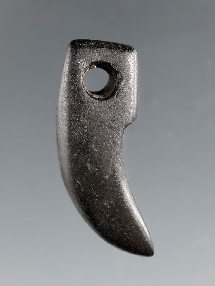 1 1/4" Fort Ancient Effigy Claw Pendant - Cannel Coal - found in Kentucky. Bennett COA.