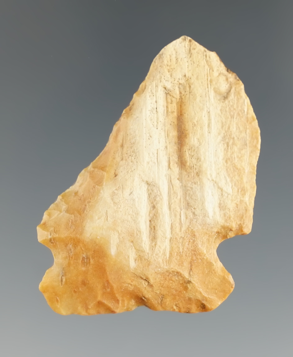 2 9/16" Albany knife made from petrified wood found in Texas.