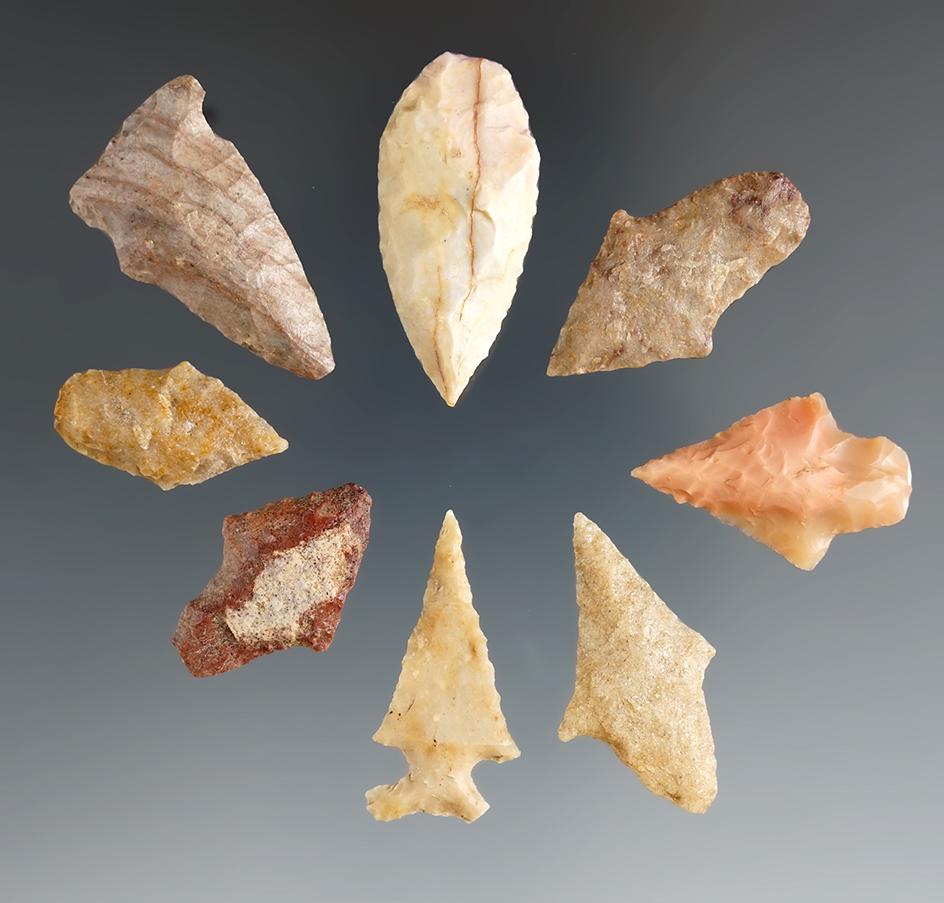Set of eight nice arrowheads found in Texas, largest is 1 9/16".