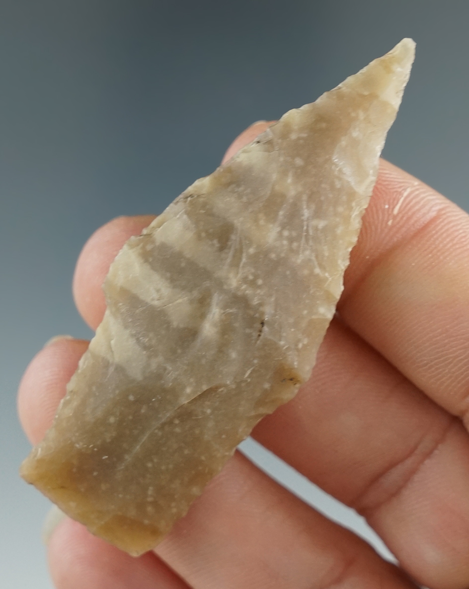 2 7/16" Bulverde point made from attractive material found in Texas.