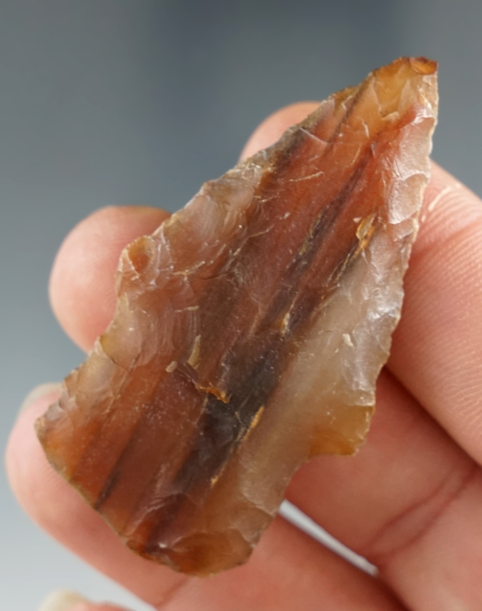 2 1/16" Stemmed Knife - beautiful highly translucent striped Multi-color Agatized wood - Texas.