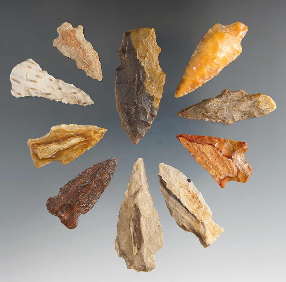Group of 10 assorted artifacts found in Texas made from petrified wood. Largest is 2 3/16".
