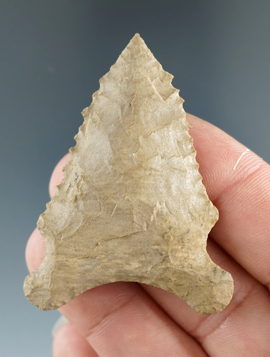 Main artifact image