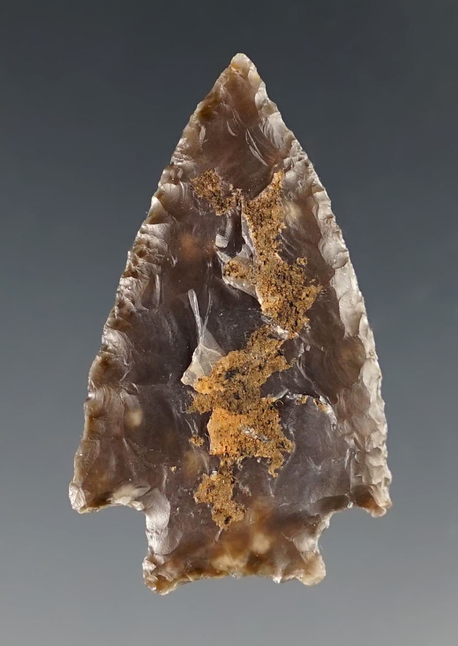 Main artifact image