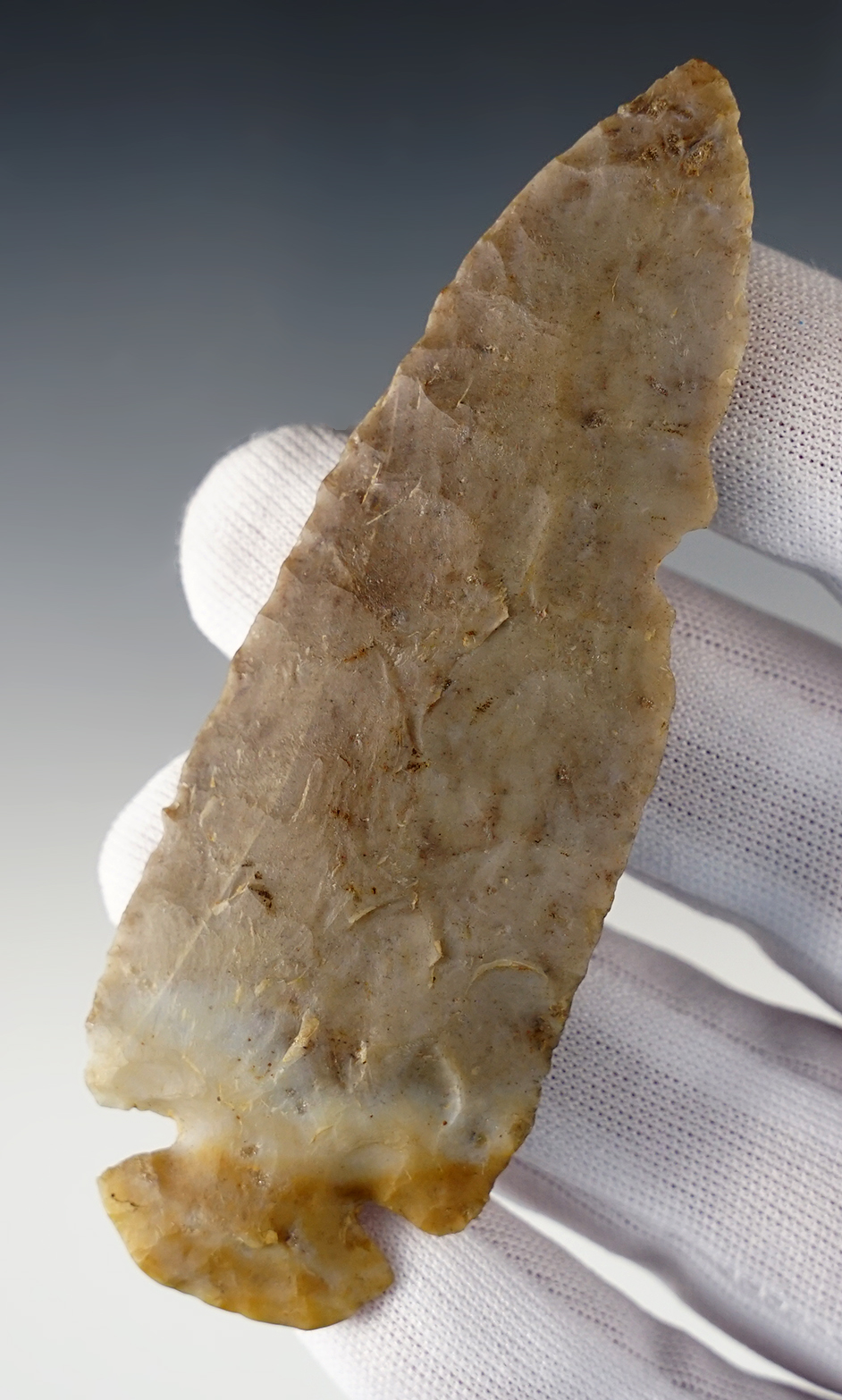 Main artifact image