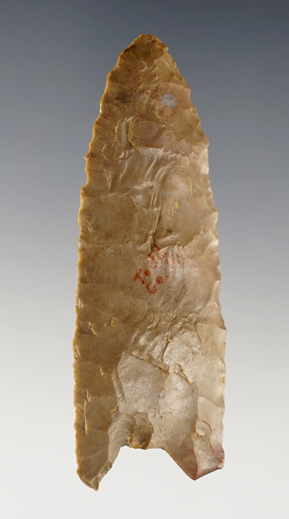Main artifact image