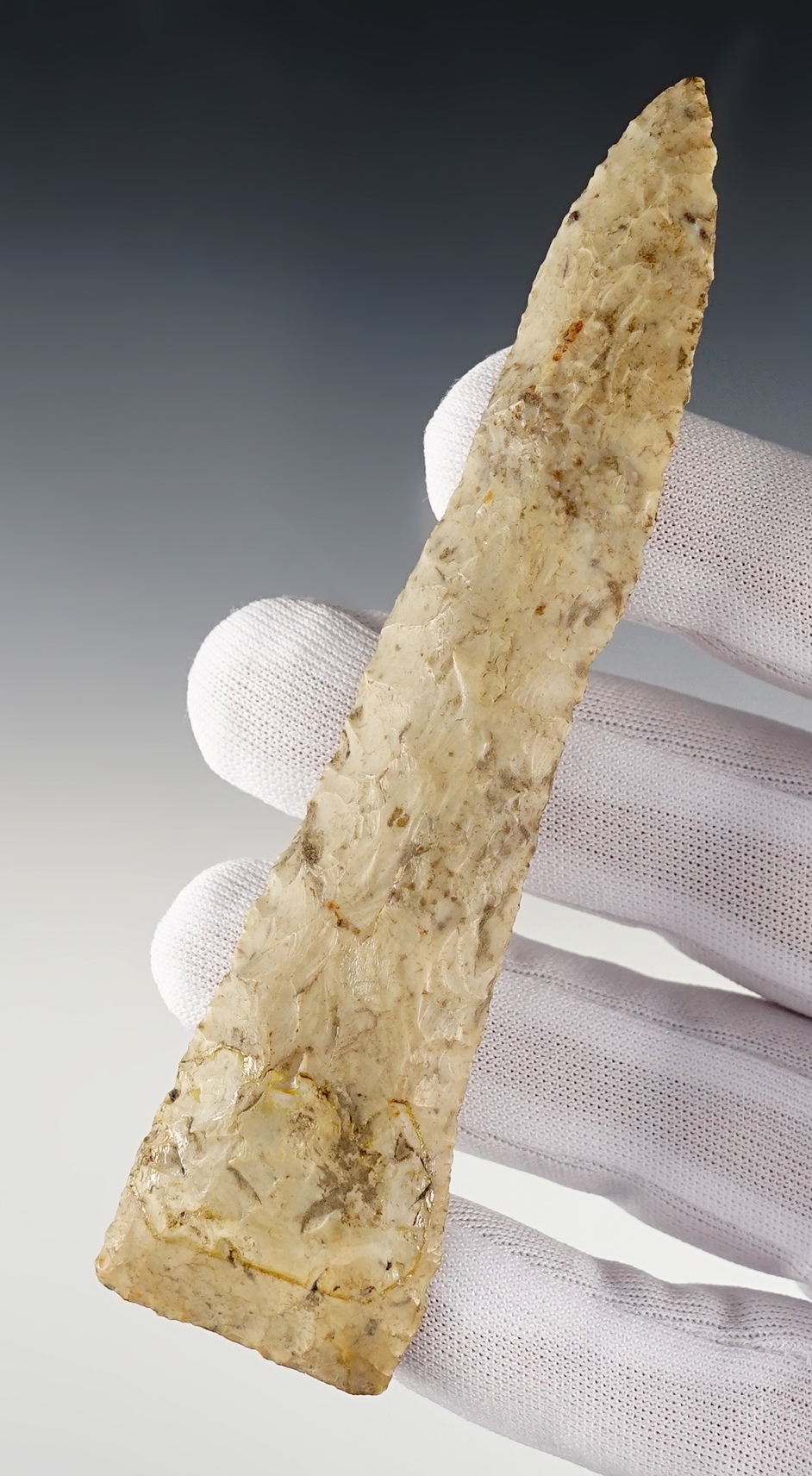 Main artifact image