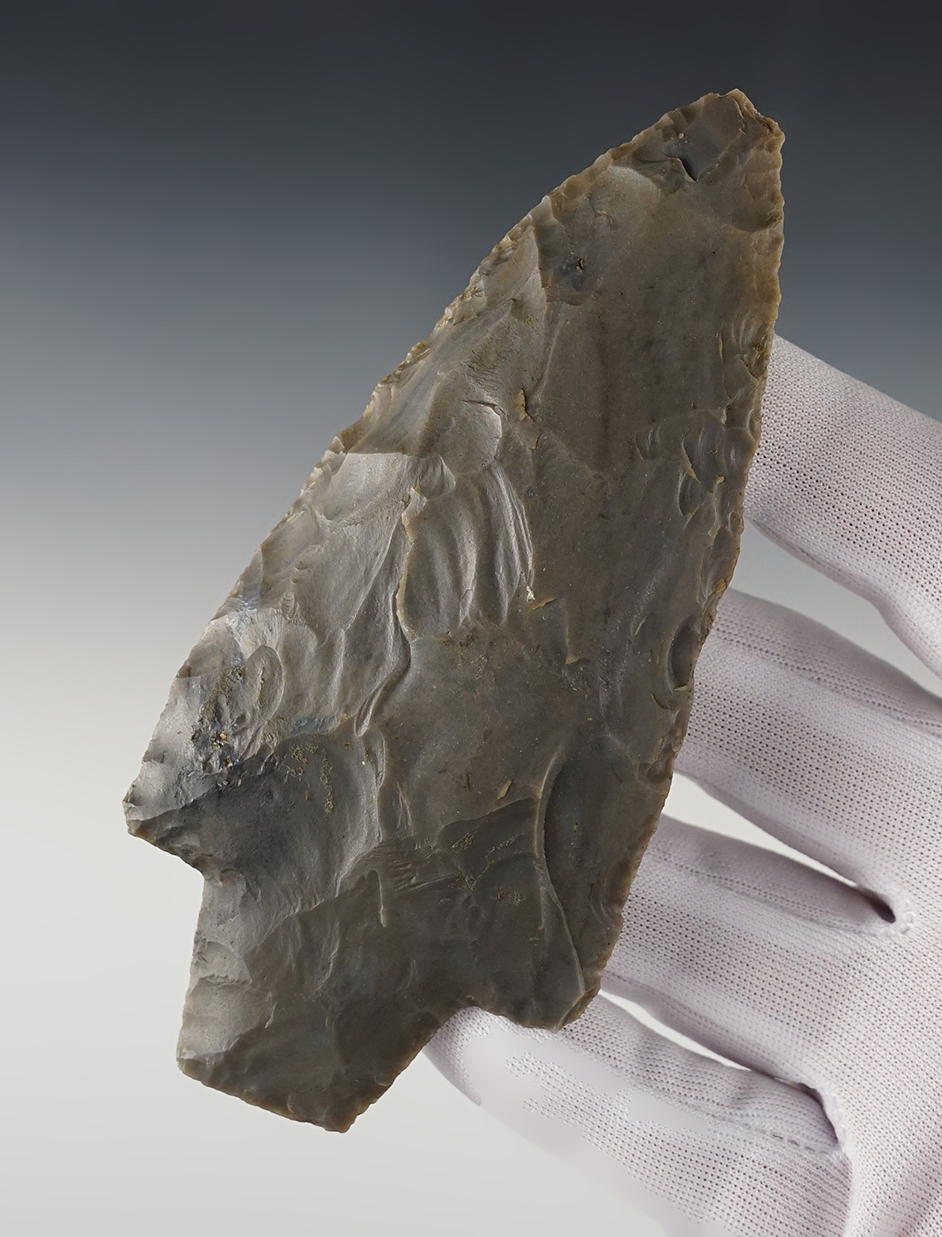 Main artifact image