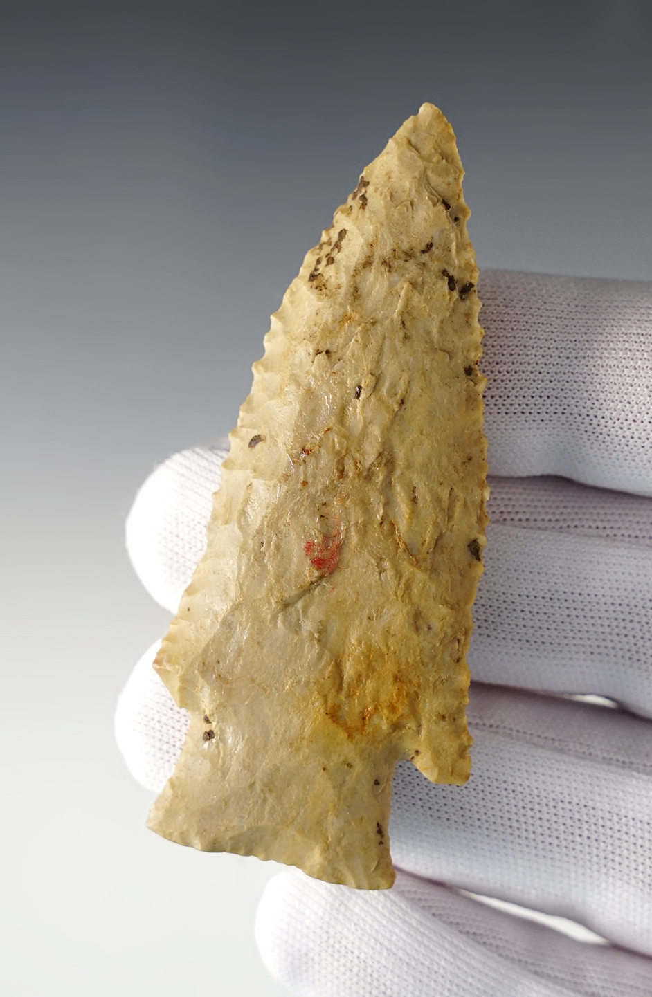 Main artifact image