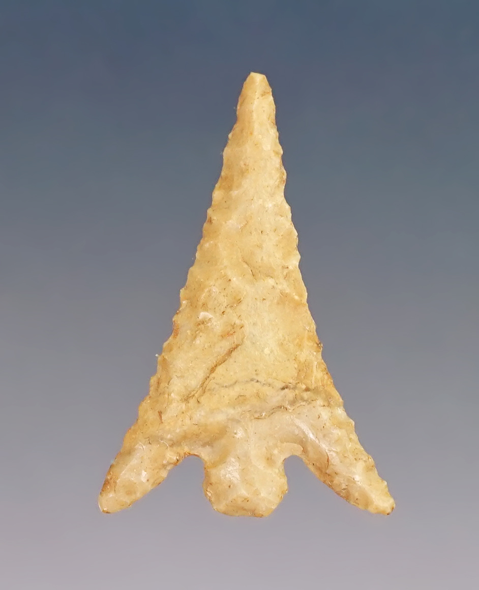 Main artifact image