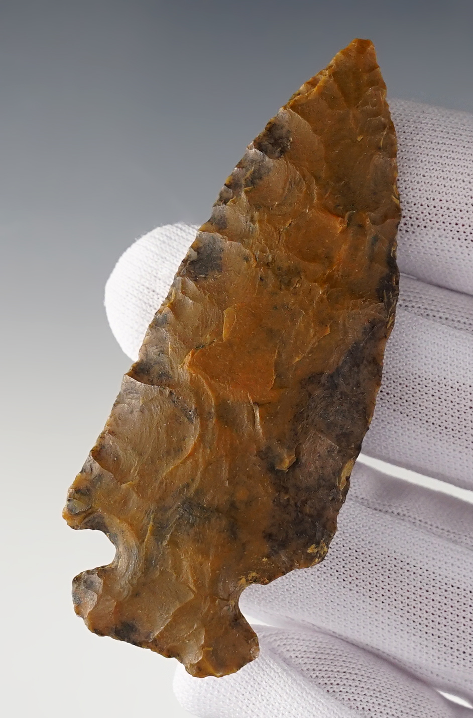 Main artifact image