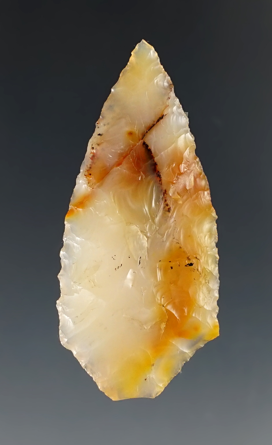 Main artifact image