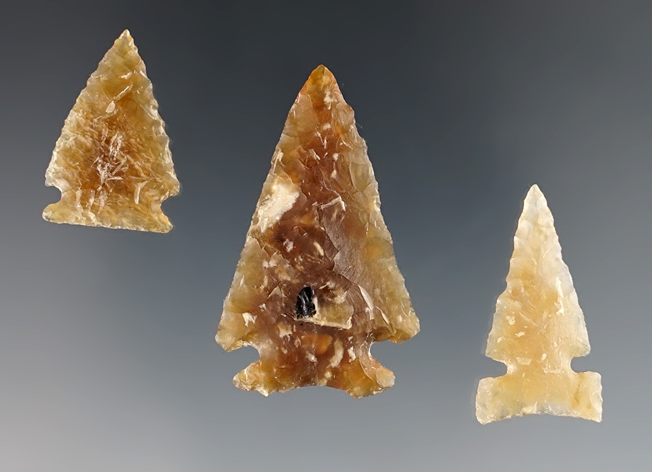 Main artifact image