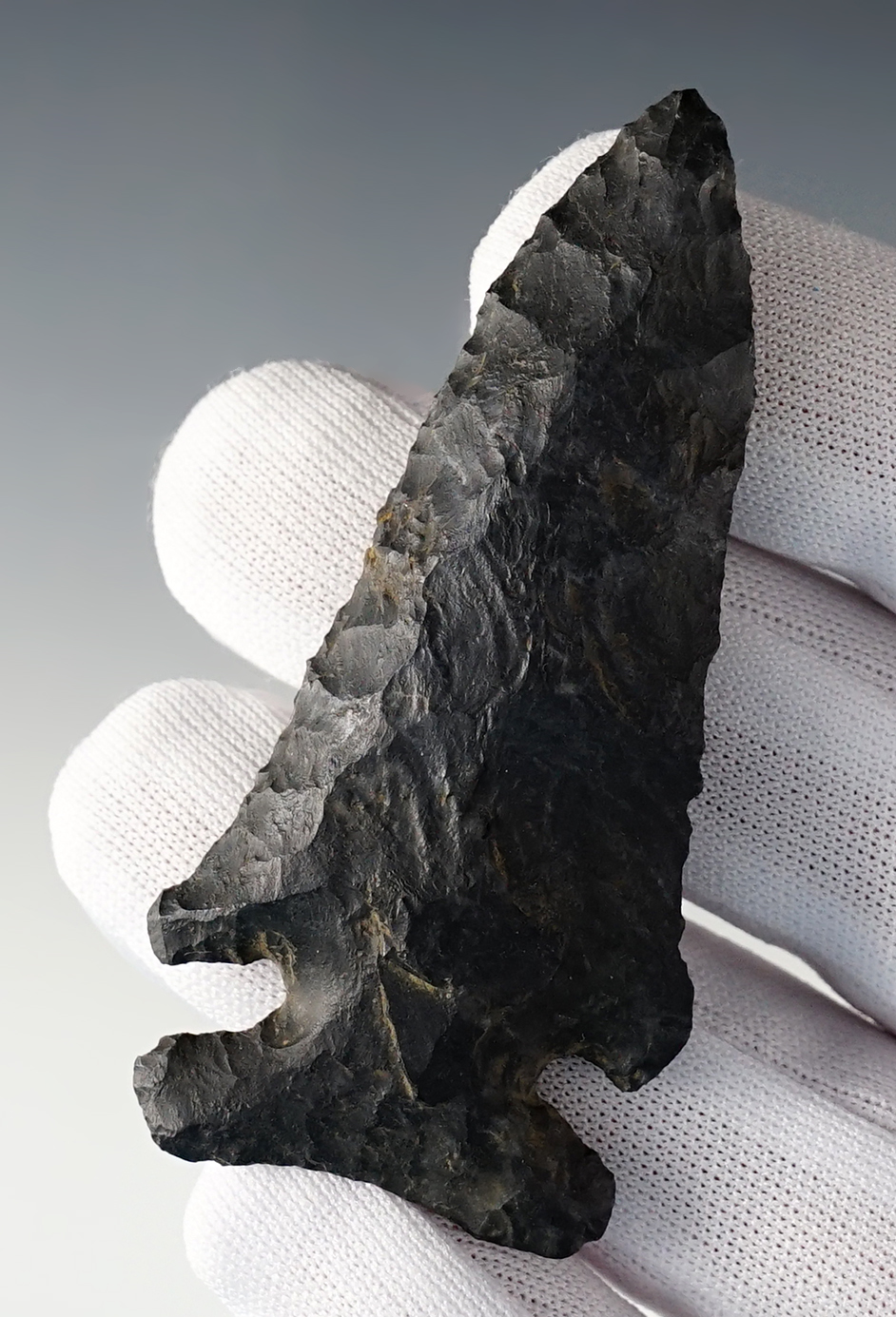 Main artifact image