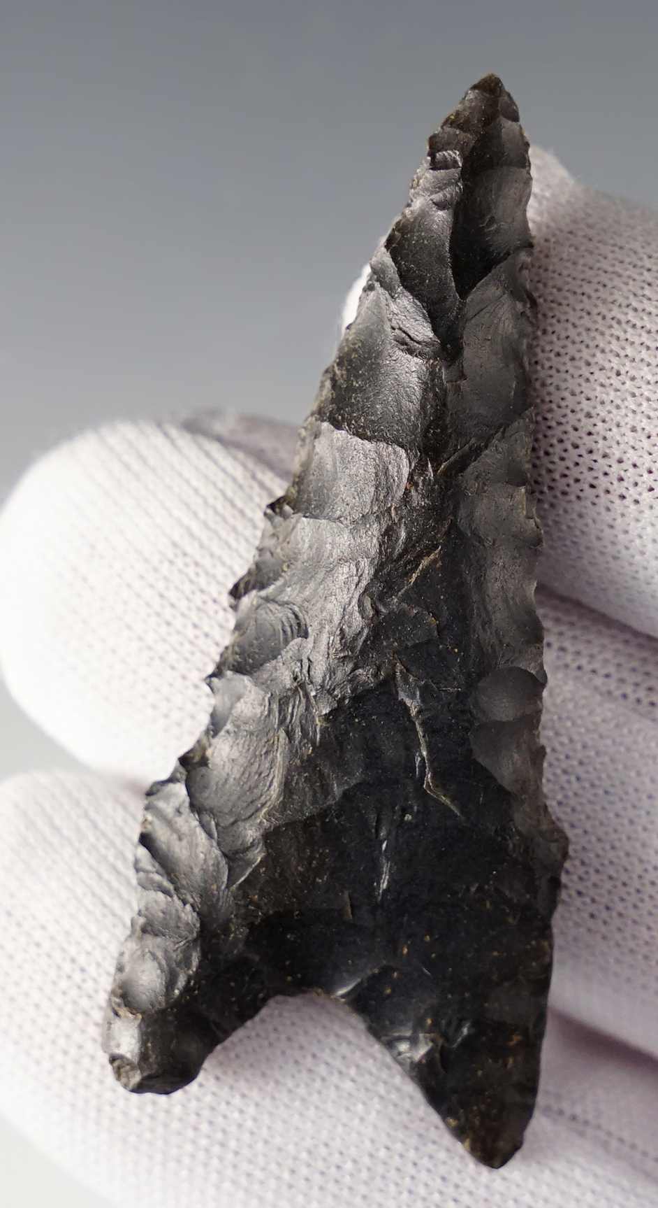 Main artifact image
