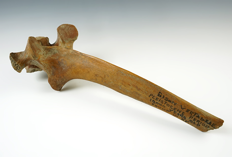 Main artifact image